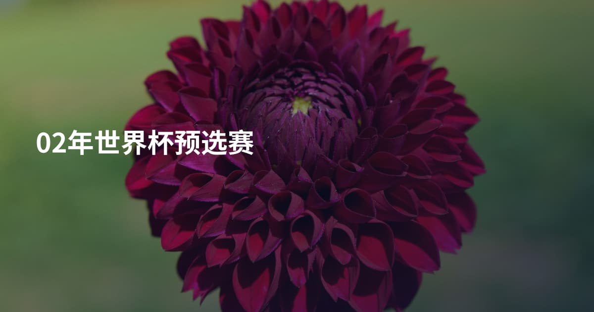 02年世界杯预选赛