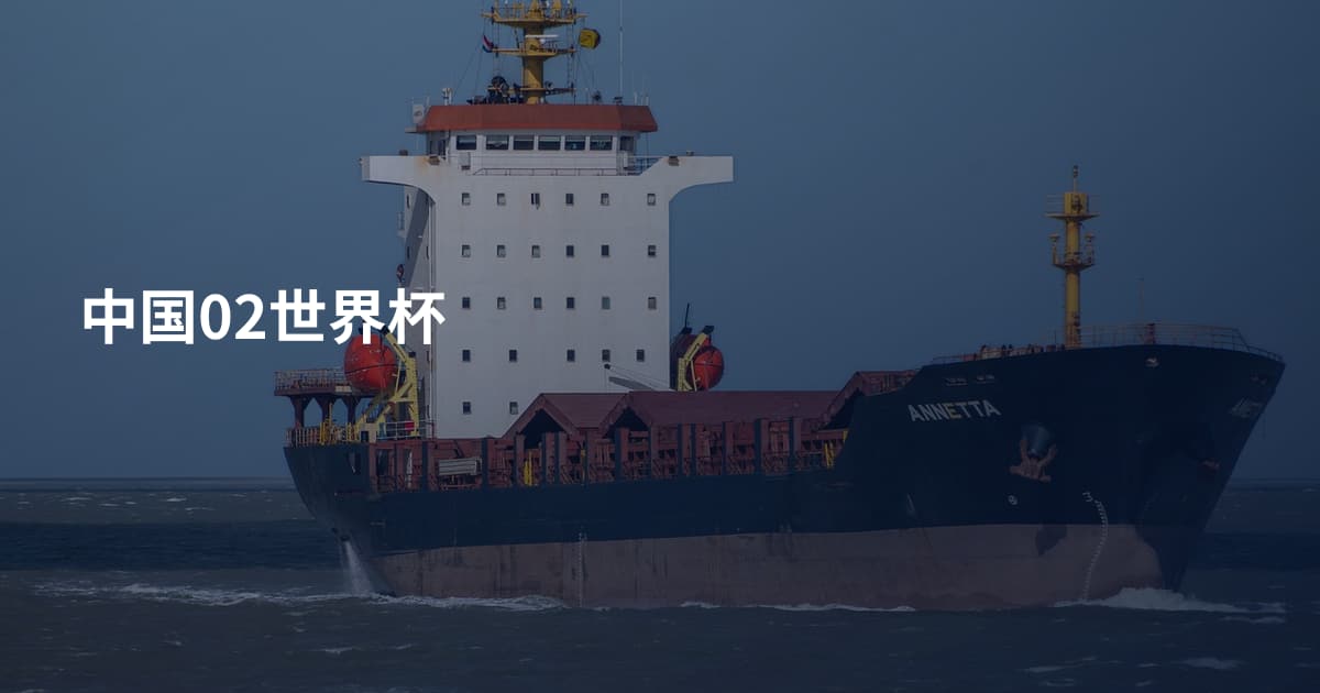 中国02世界杯