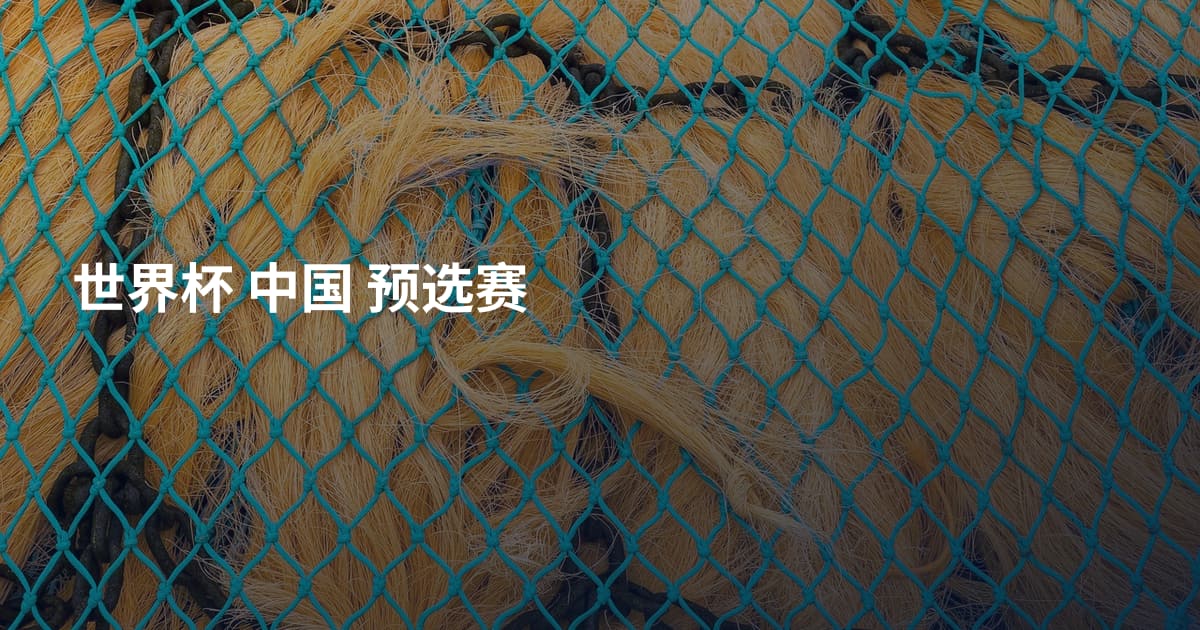 世界杯 中国 预选赛
