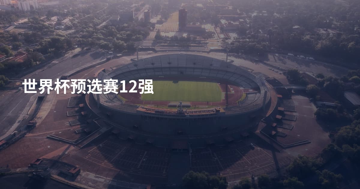 世界杯预选赛12强