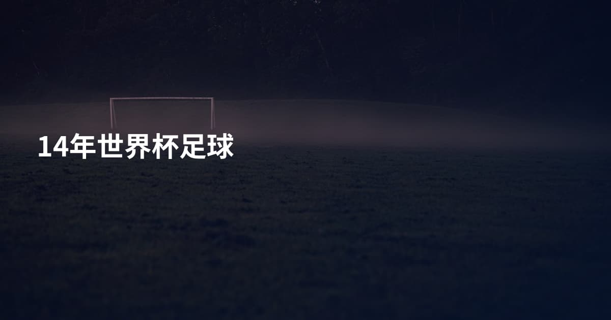 14年世界杯足球