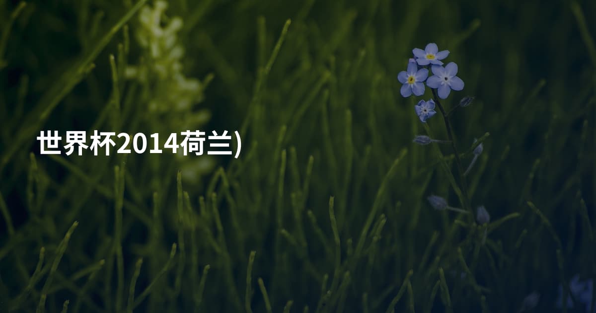 世界杯2014荷兰)