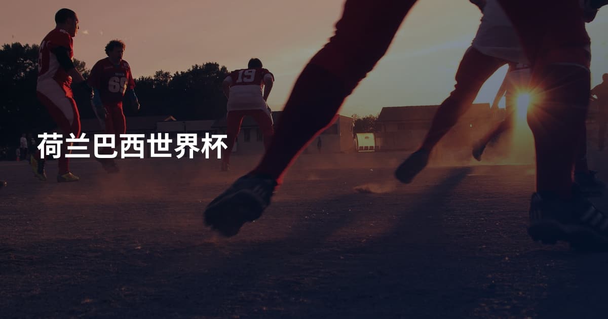 荷兰巴西世界杯