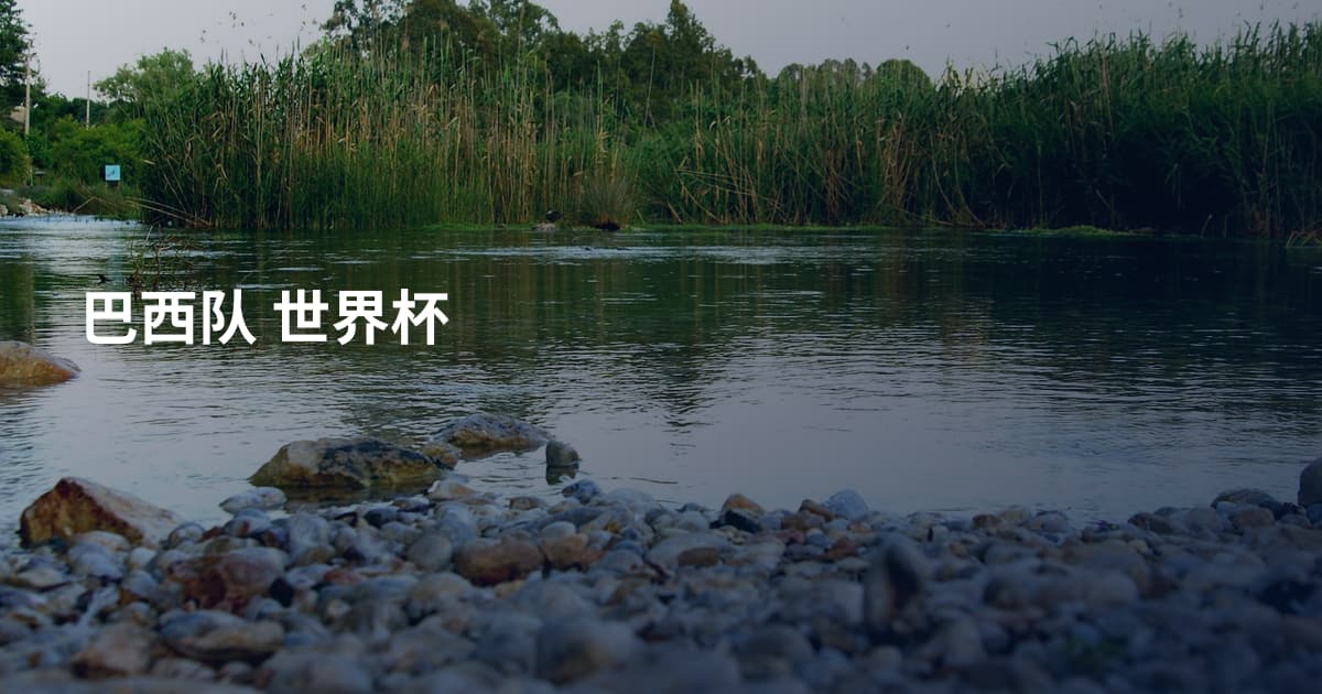 巴西队 世界杯