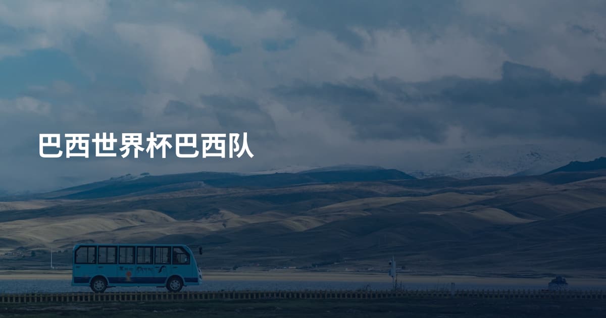 巴西世界杯巴西队