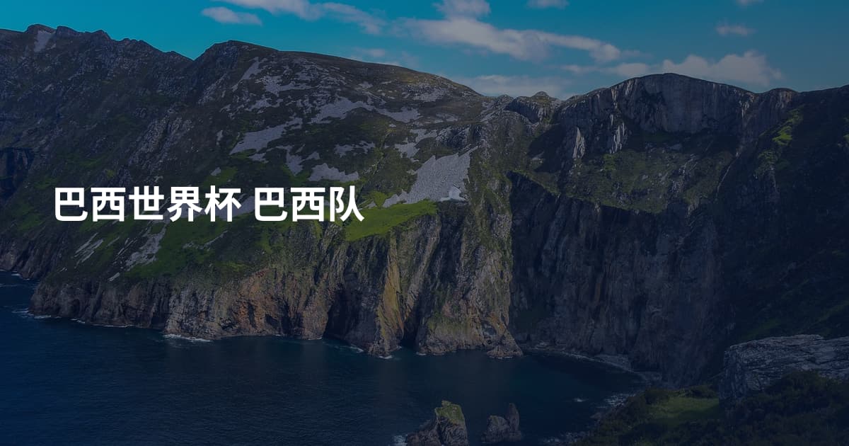 巴西世界杯 巴西队