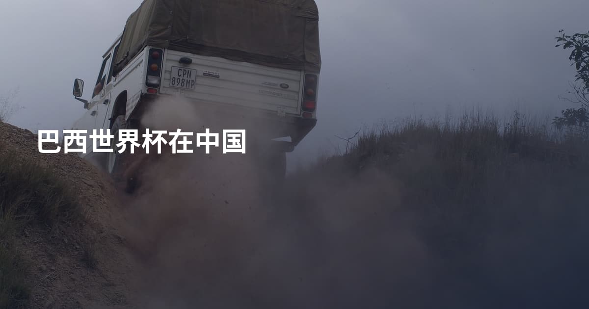 巴西世界杯在中国