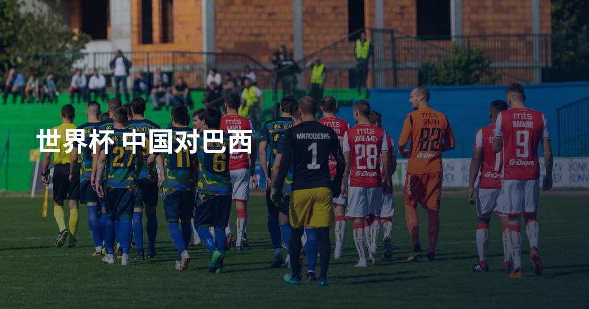 世界杯 中国对巴西
