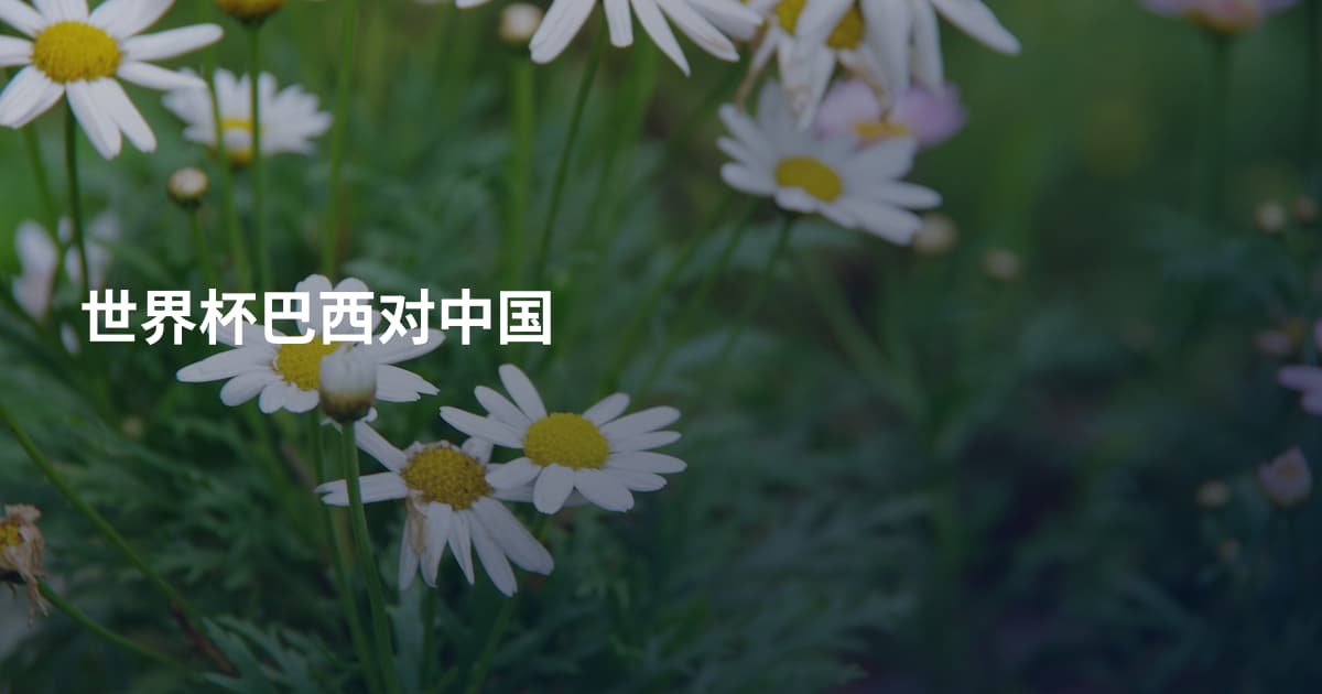 世界杯巴西对中国