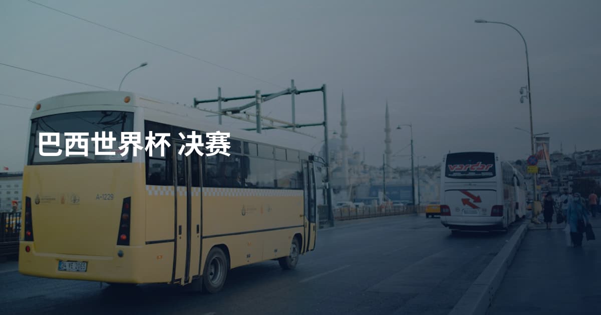 巴西世界杯 决赛
