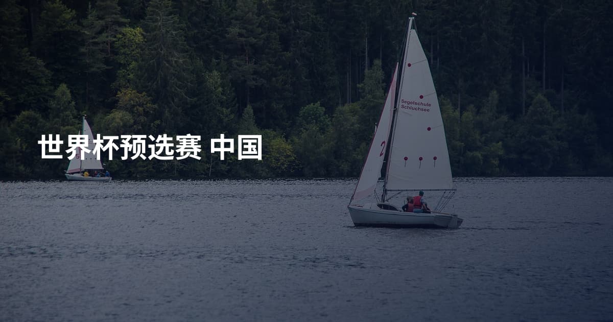 世界杯预选赛 中国