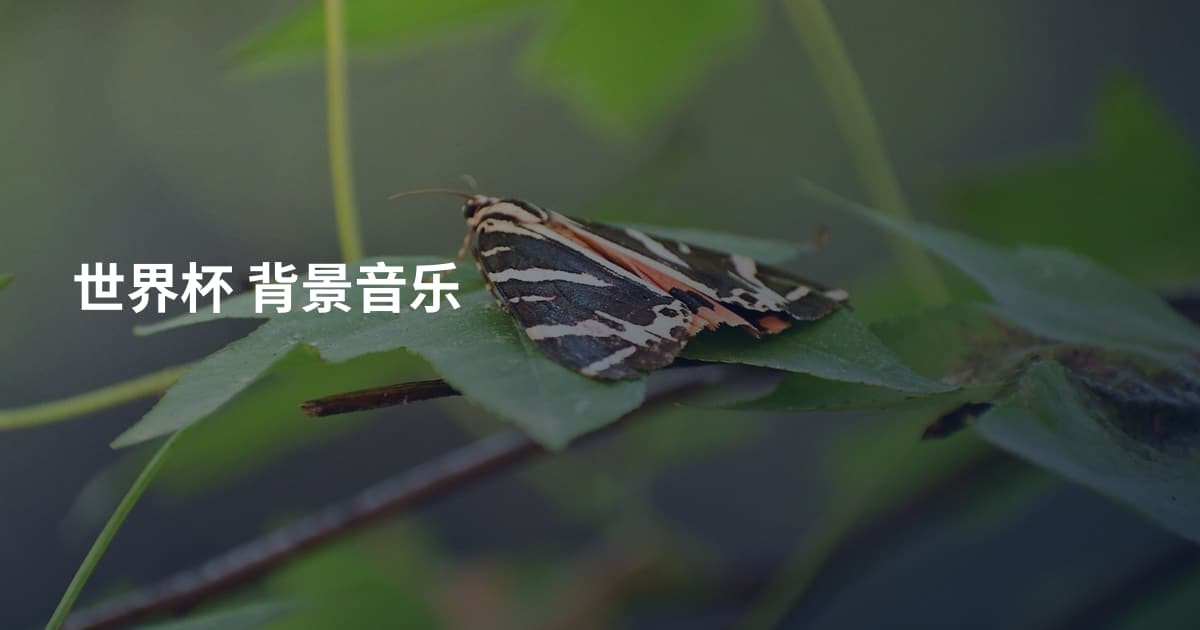 世界杯 背景音乐