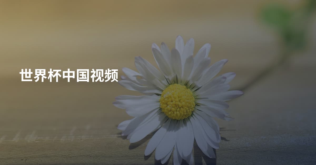 世界杯中国视频