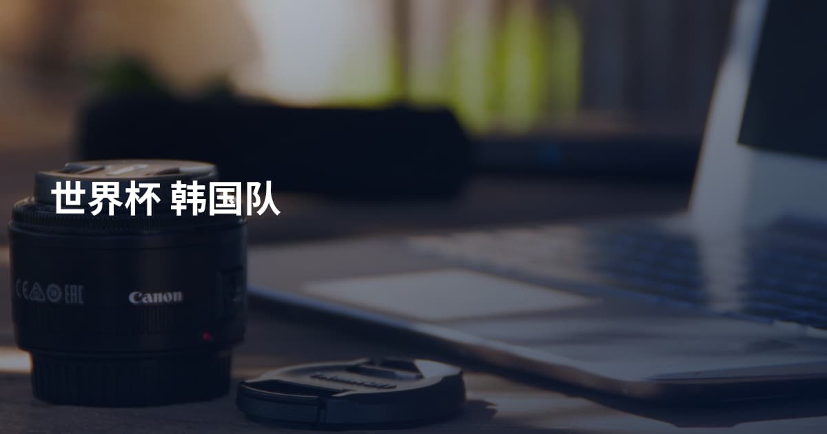 世界杯 韩国队