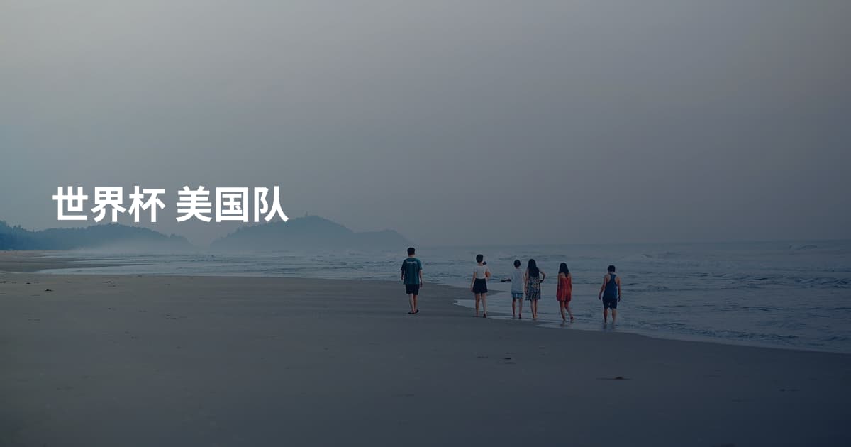 世界杯 美国队