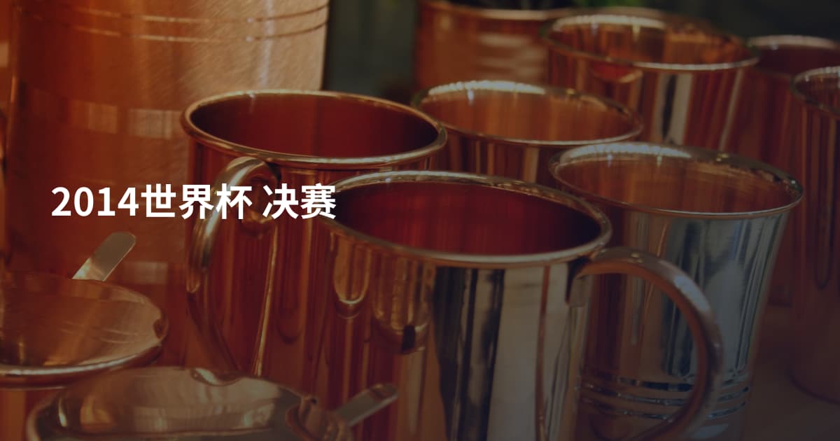 2014世界杯 决赛