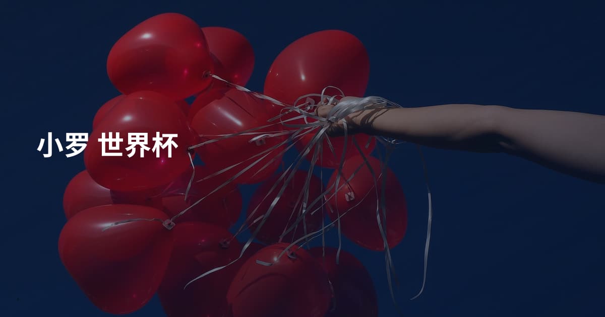 小罗 世界杯