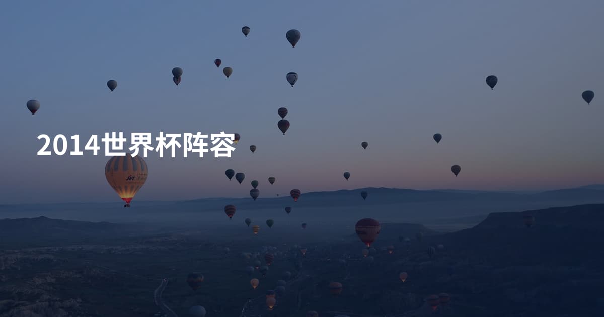 2014世界杯阵容