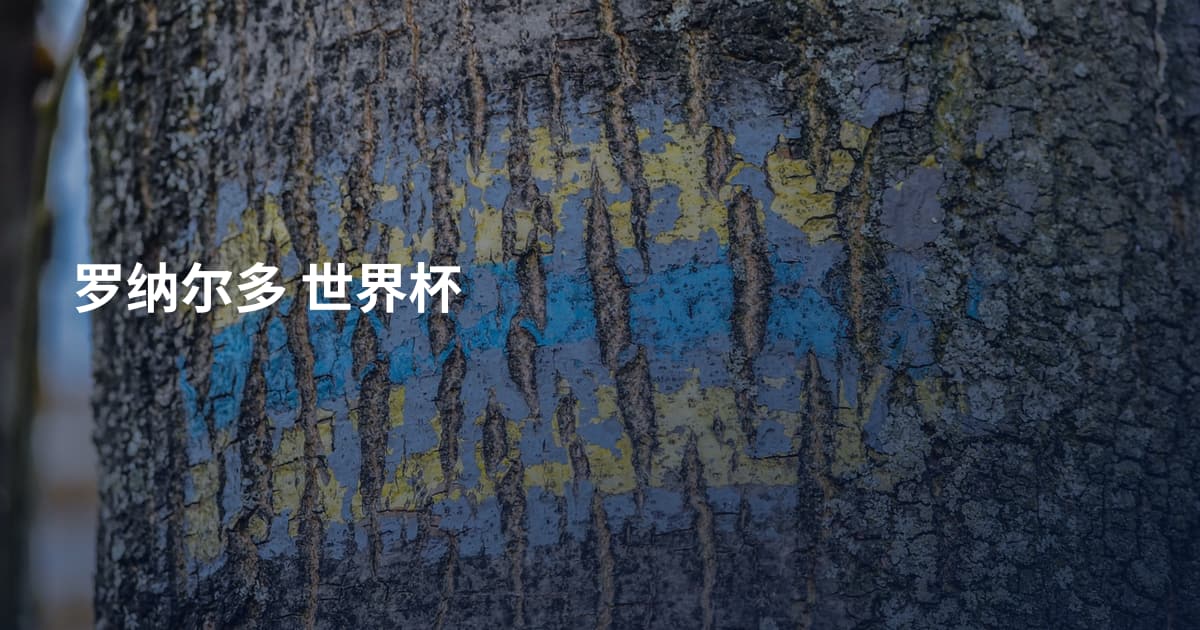 罗纳尔多 世界杯