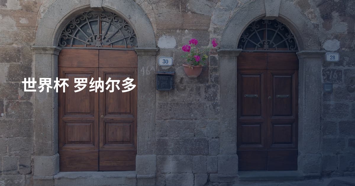 世界杯 罗纳尔多