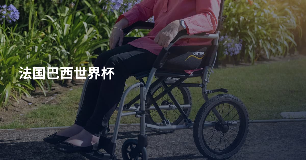 法国巴西世界杯