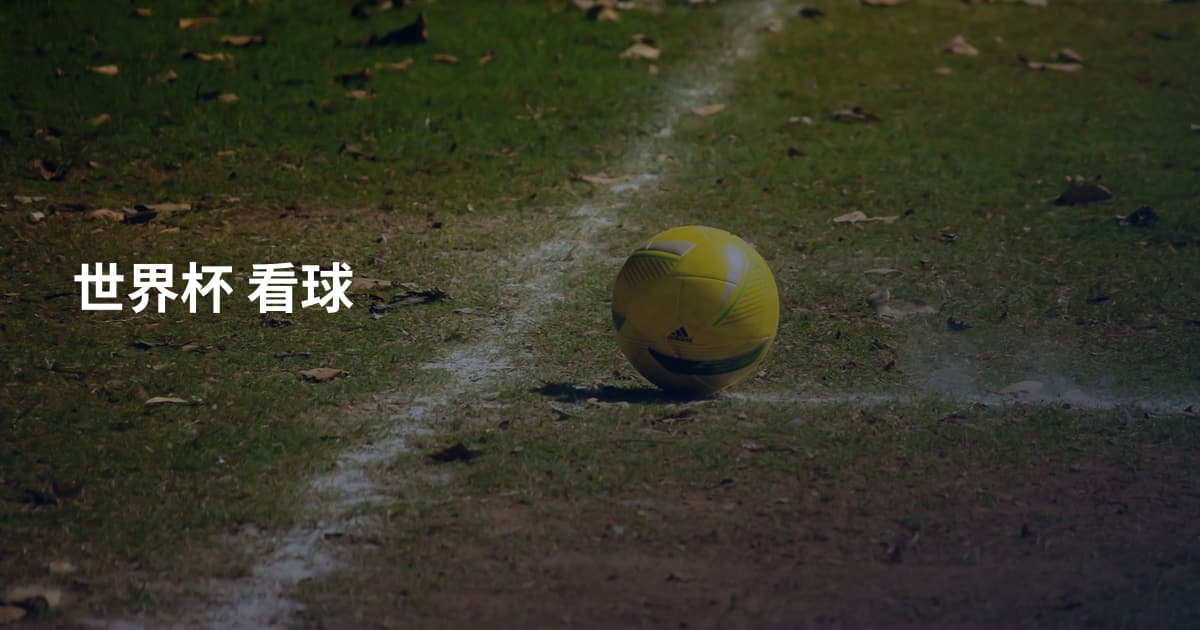 世界杯 看球