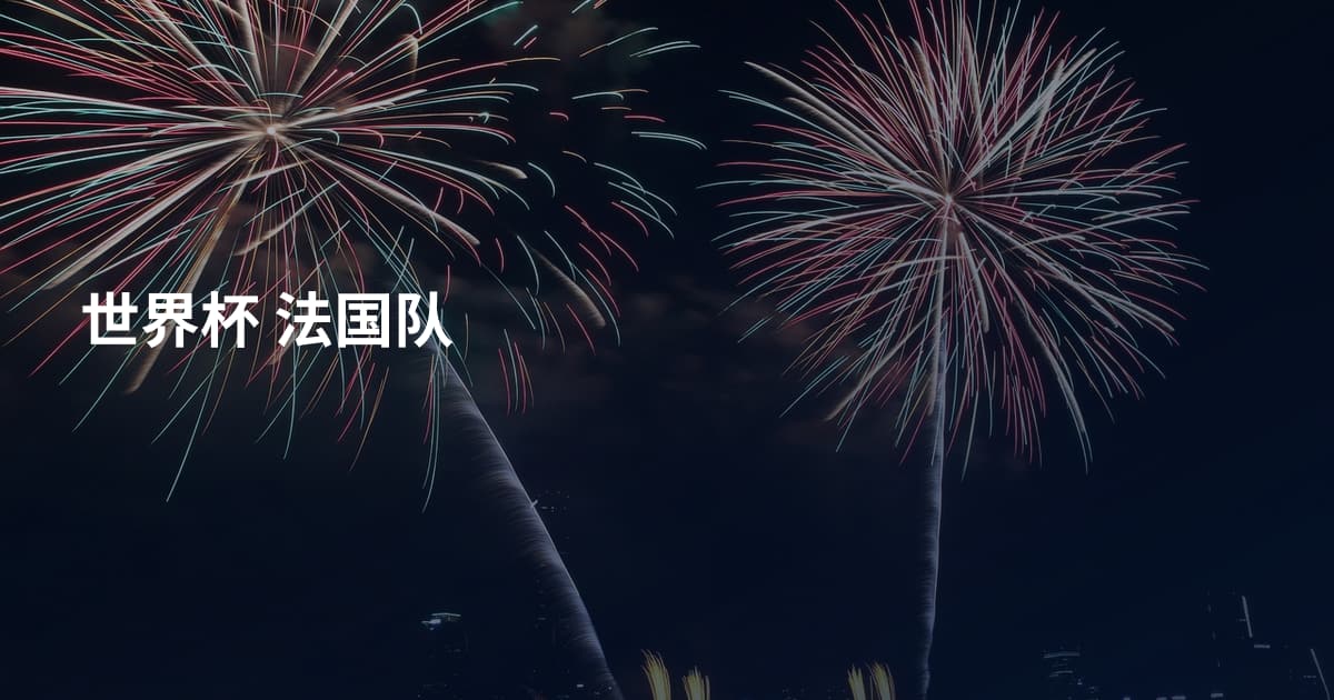 世界杯 法国队