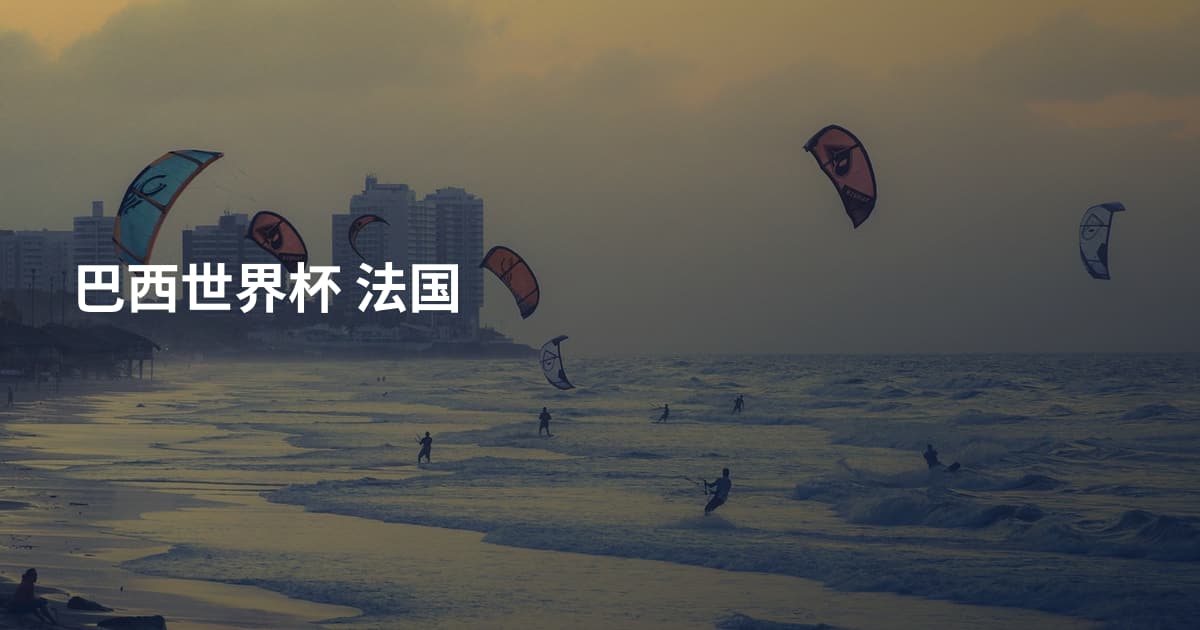 巴西世界杯 法国
