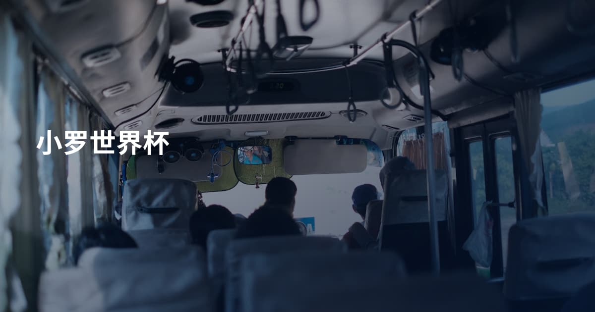 小罗世界杯