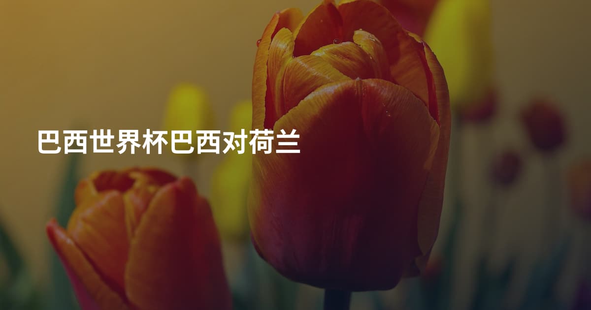 巴西世界杯巴西对荷兰