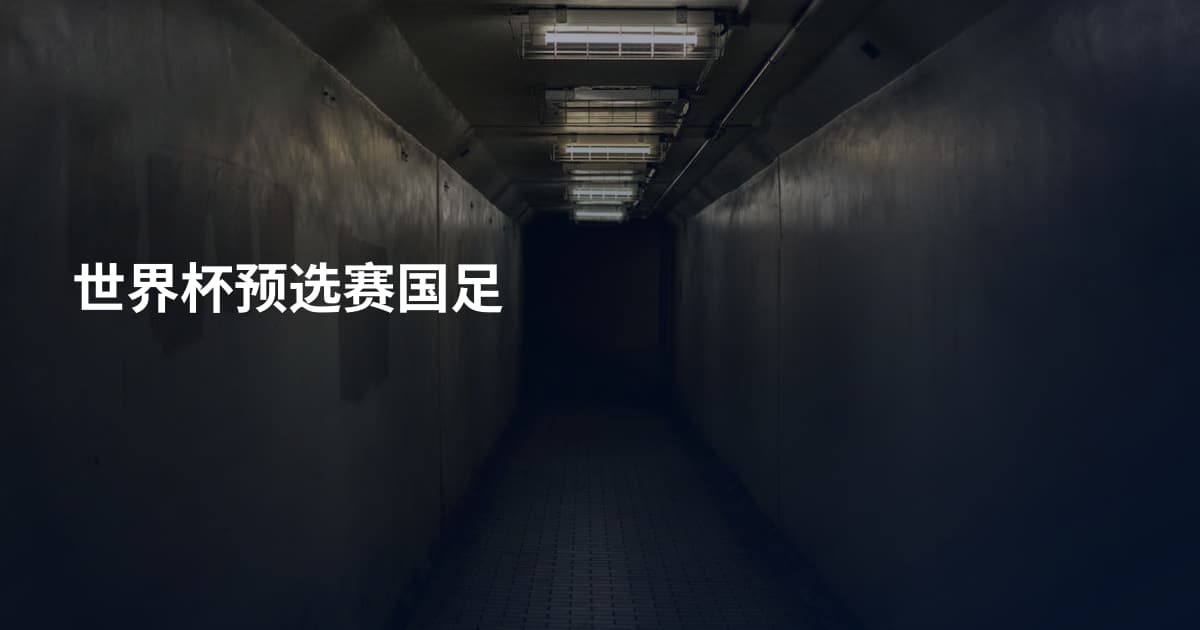 世界杯预选赛国足