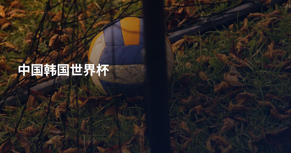 中国韩国世界杯