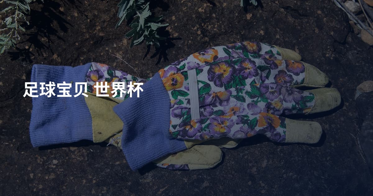 足球宝贝 世界杯