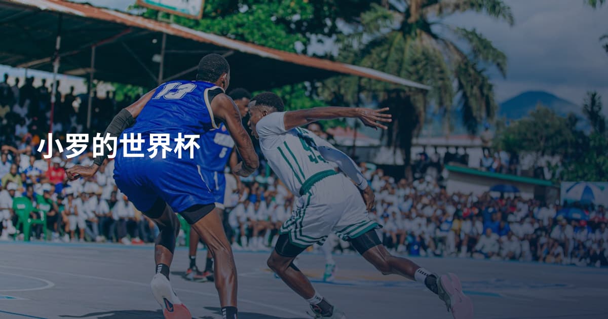 小罗的世界杯