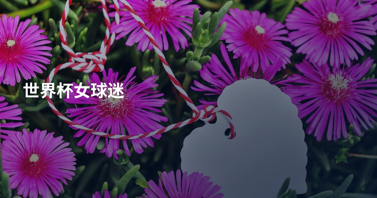 世界杯女球迷