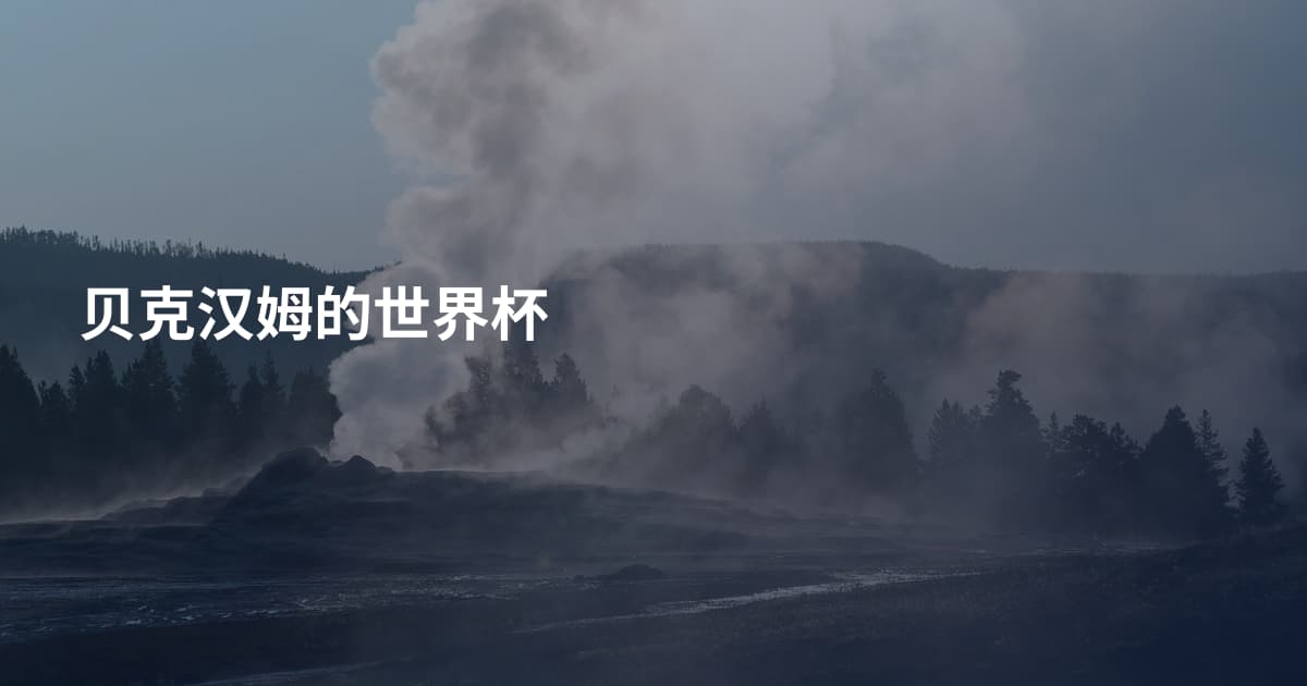贝克汉姆的世界杯