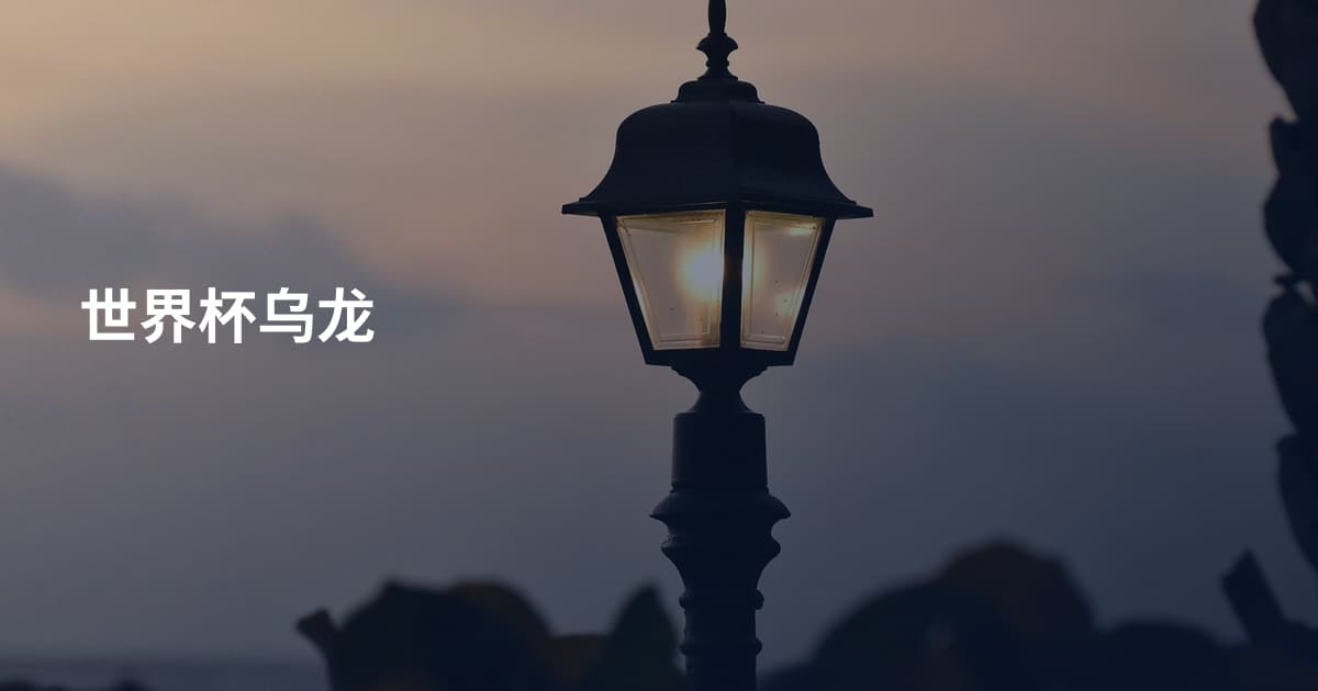 世界杯乌龙
