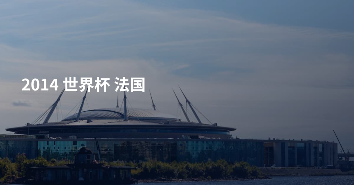2014 世界杯 法国