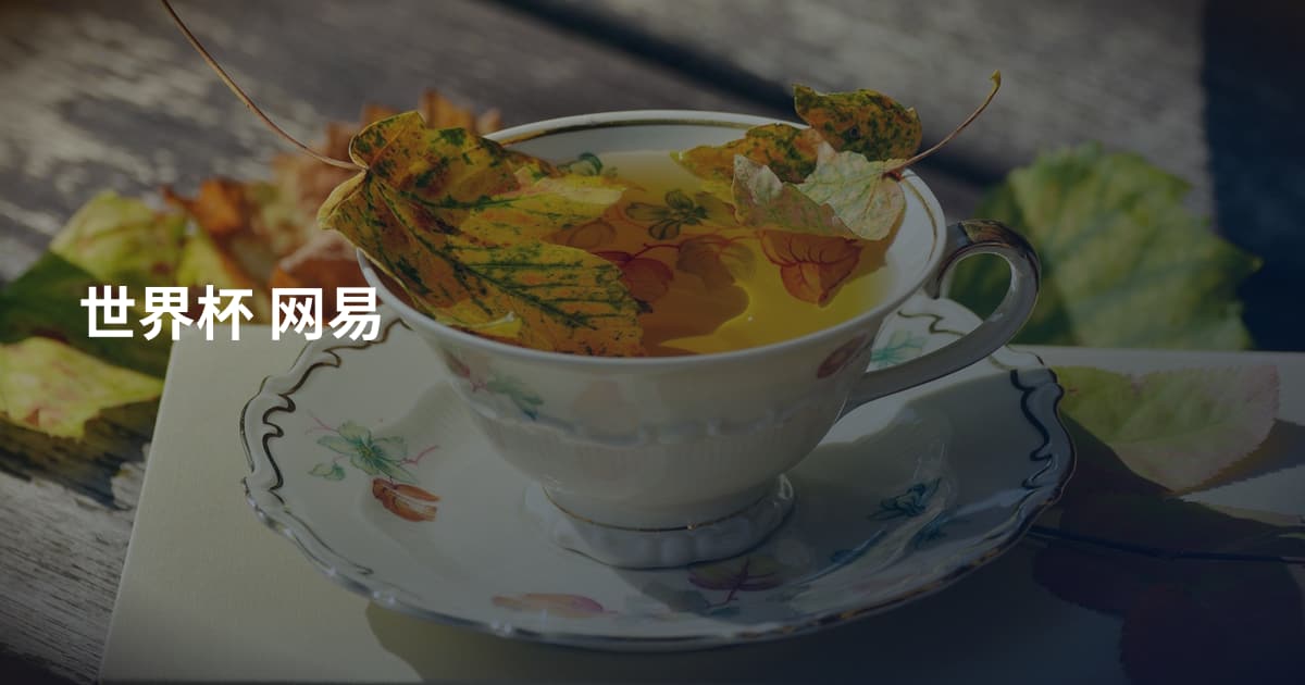 世界杯 网易