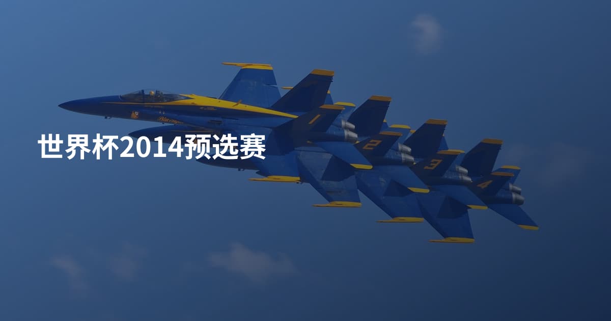 世界杯2014预选赛