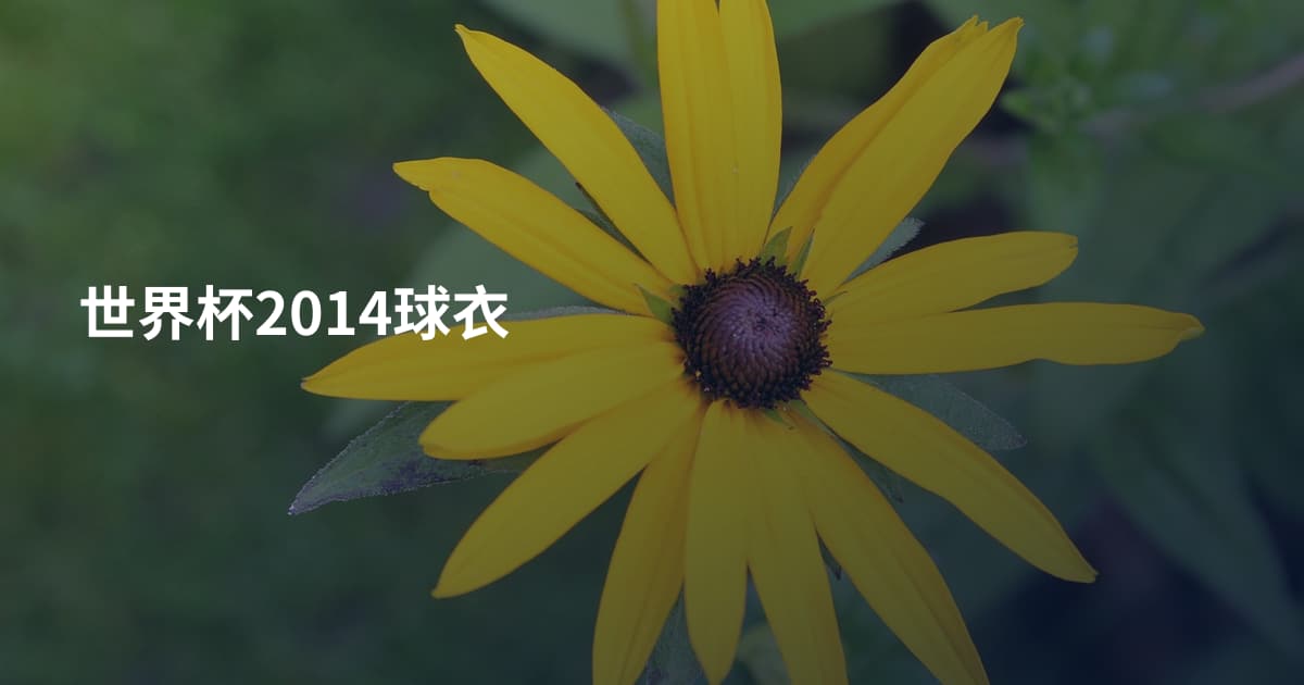 世界杯2014球衣