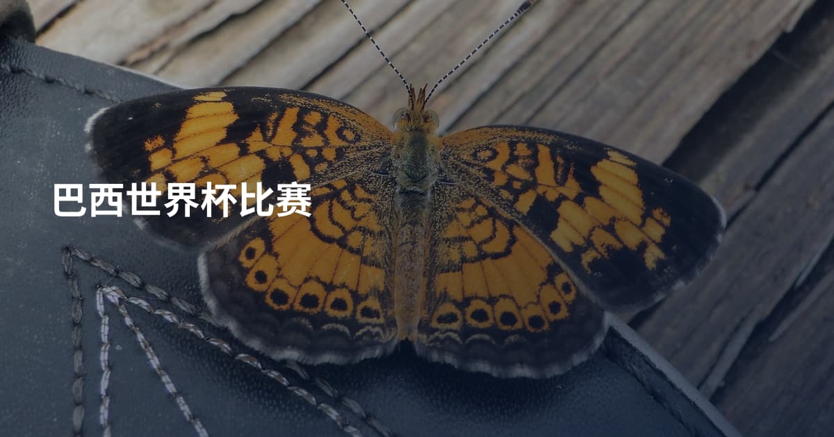 巴西世界杯比赛