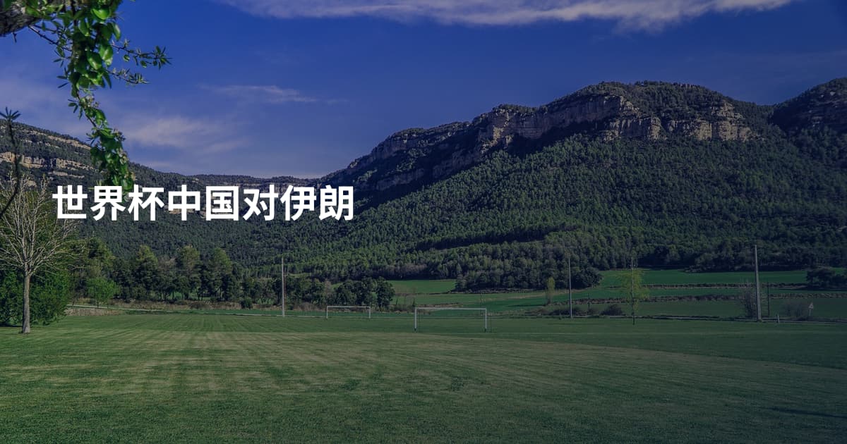 世界杯中国对伊朗