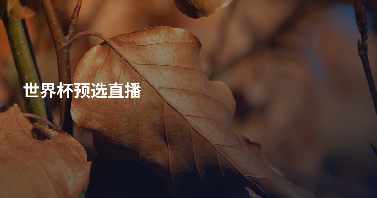 世界杯预选直播