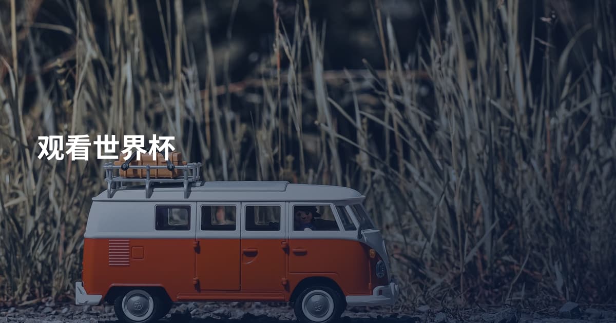 观看世界杯