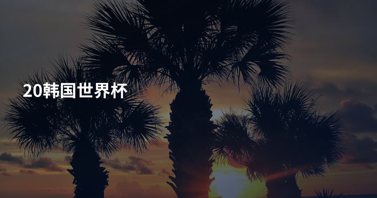 20韩国世界杯