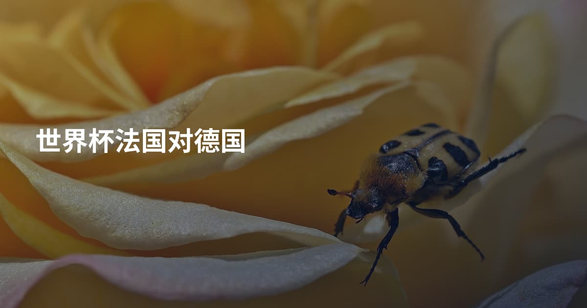世界杯法国对德国