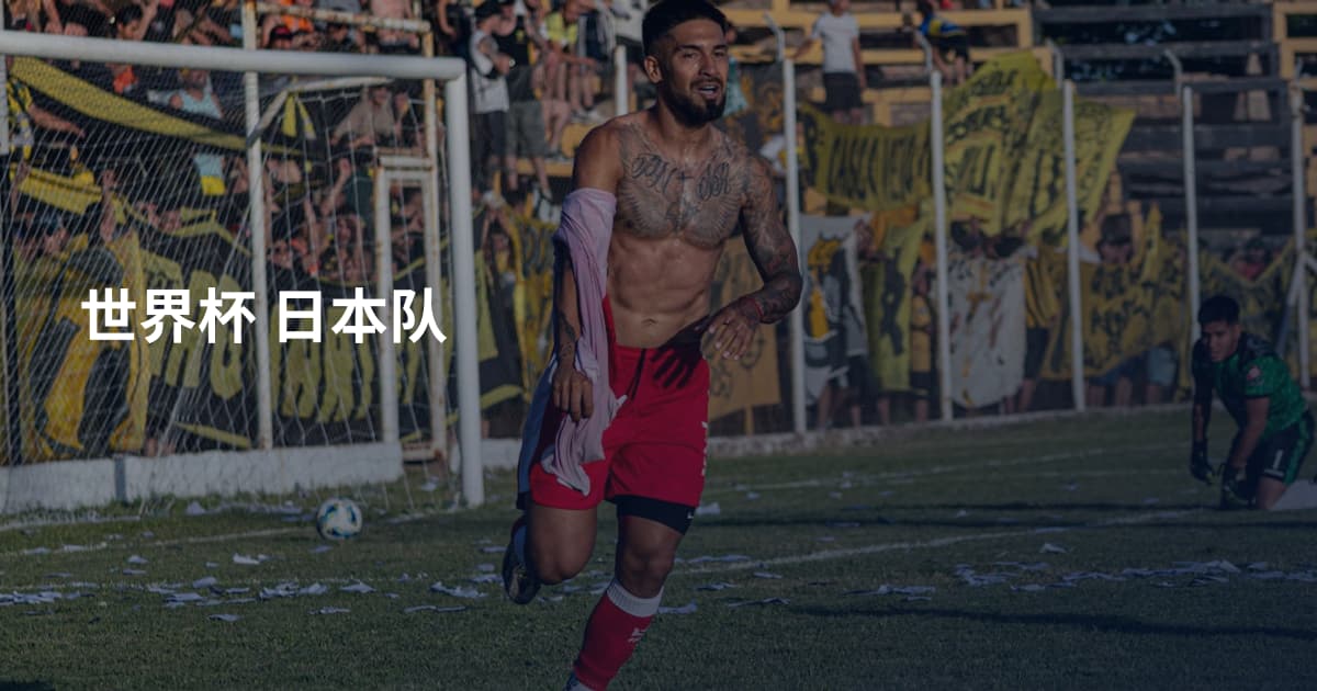 世界杯 日本队