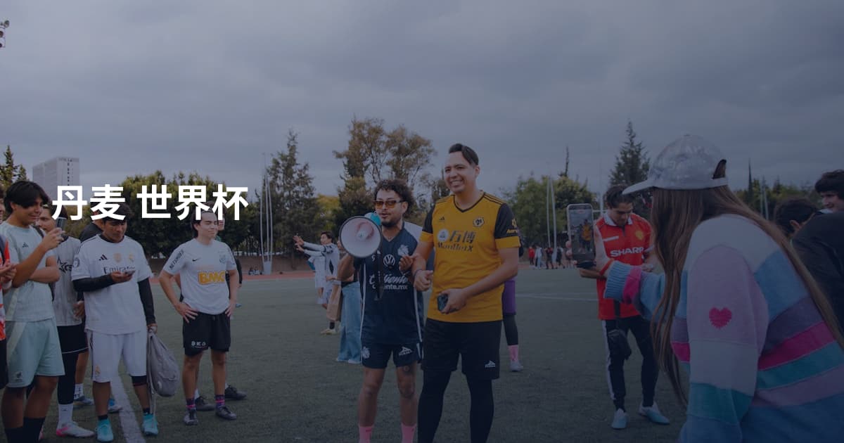 丹麦 世界杯