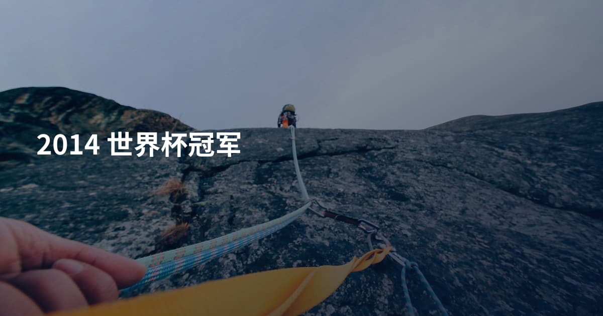 2014 世界杯冠军